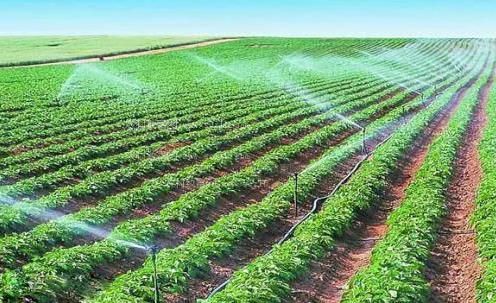 操肏屄网农田高 效节水灌溉
